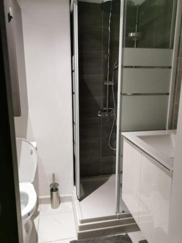 une salle de bain avec une douche avec des toilettes et un lavabo dans l'établissement Joliette European Hospital Appartment, à Marseille