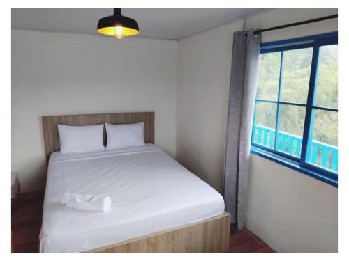 a bed in a room with a large window at Encantadora Finca en Paraíso Cafetero - La Flor in Dosquebradas