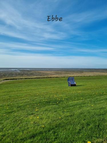 a bench sitting in the middle of a field at Ferienhaus Norderpiep 54 in Friedrichskoog