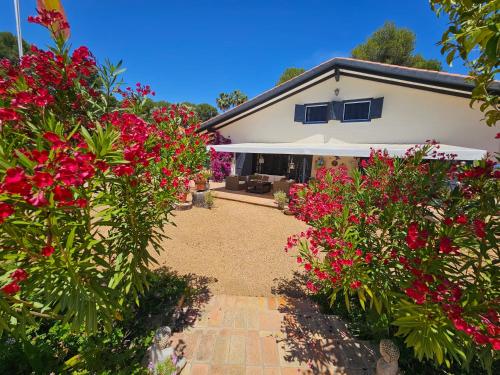 une maison avec des fleurs rouges dans la cour dans l'établissement Finca la Yuca, à Ontinyent