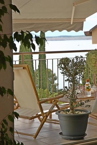 GoGreen Penthouse