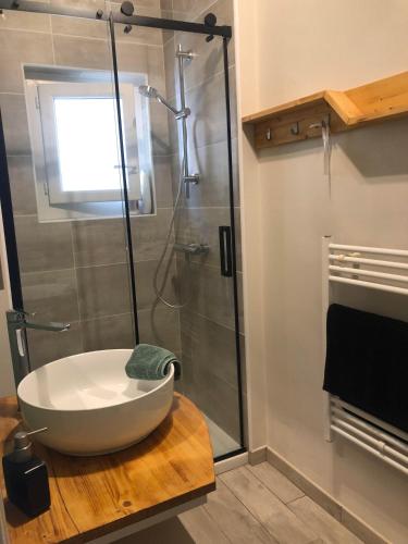 une salle de bain avec un lavabo et une douche dans l'établissement Studio centre ville et terrasse, à Romans-sur-Isère