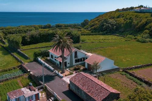 an aerial view of a house with a palm tree at Casa das 3 Marias in Biscoito Bravo
