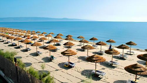 a group of umbrellas and chairs on a beach at Ippocampo alba e tramonto al giardino duepuntozero in Ippocampo