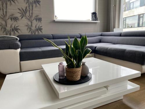 a living room with a couch and a white coffee table at Katwijk Center, 1 min away from the beach! in Katwijk aan Zee