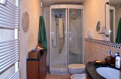 Un baño con ducha, inodoro y lavabo. en Mont Blanc Apartment Morgex, en Morgex