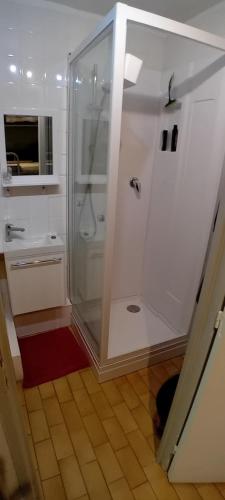 カップ・ダグドにあるAppartement avec parking privé dans résidence les hautes vignesの浴室のガラス扉付きシャワー