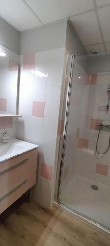 une salle de bain avec douche et lavabo dans l'établissement Les Granges d'En Naoua, Grand gite avec Piscine, à Maubec