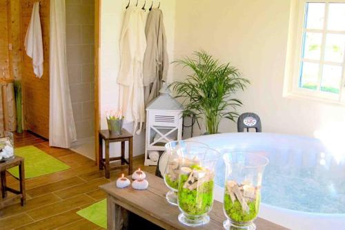 une pièce avec une baignoire avec des poissons dans des vases en verre dans l'établissement Grand gîte, campagne, piscine et spa - Saumur, à Blou