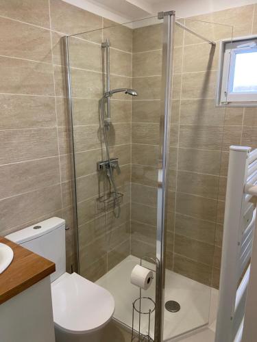 une salle de bain avec douche et toilettes dans l'établissement Maisonnette avec jardin, à Domont