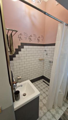 a bathroom with a sink and a shower at Rose Gardens in Vršac