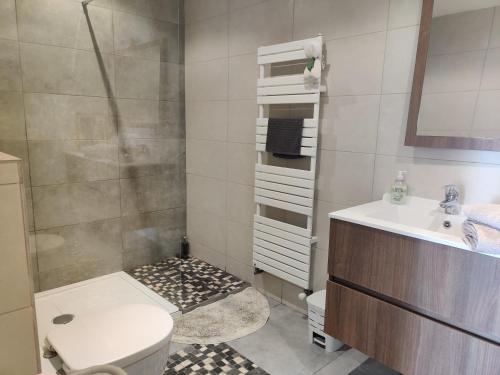 a bathroom with a shower and a toilet and a sink at Les collines de St Paul in Saint-Paul-de-Vence