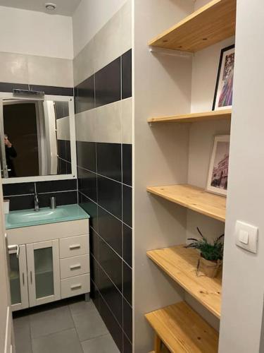 une salle de bain avec un lavabo et un miroir dans l'établissement Bel appartement rez de chaussée, à Troyes