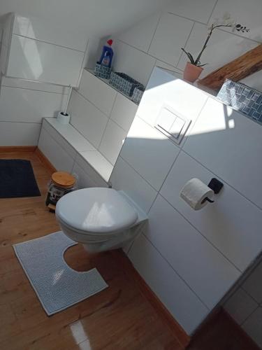 a white bathroom with a toilet in a room at Stellas Monteurwohnungen in Crimmitschau