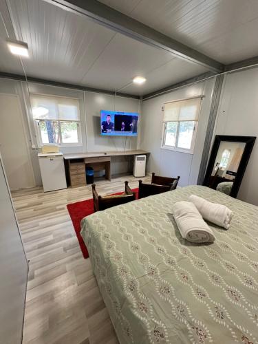 a bedroom with a bed and a tv on the wall at BUNGALOW INFANTA in Torrelaguna