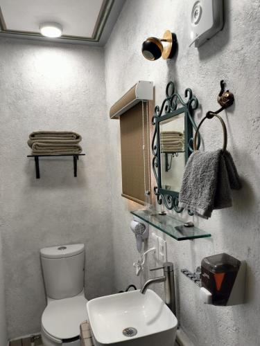 a bathroom with a toilet and a sink and a mirror at HOTEL CASA LIMON in Santa Rosa de Jáuregui