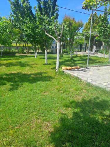 Gallery image of Countryhouse 4 you in Nea Kalikratia
