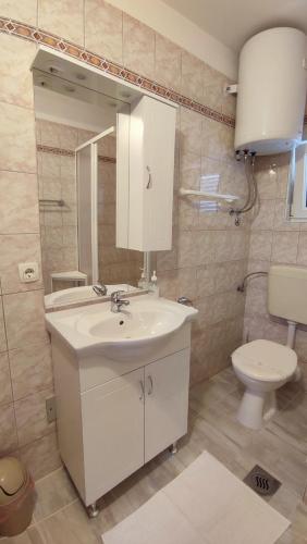 a bathroom with a sink and a toilet and a mirror at Apartments 3 Palms in Crikvenica