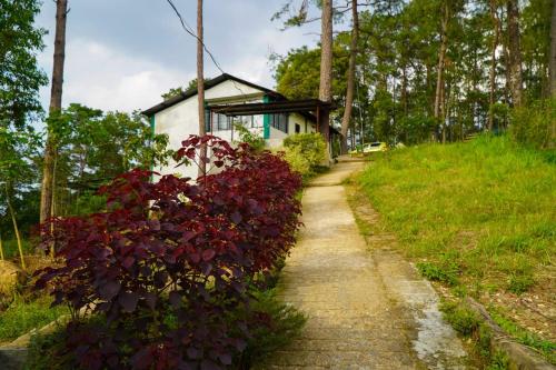 a path in front of a house with red plants at ROYALTY GLOBAL HOMESTAY in Shillong