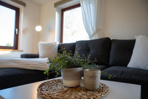 sala de estar con sofá y mesa con planta en Feriemhof Kruse Wohnung Nr 1, en Grömitz
