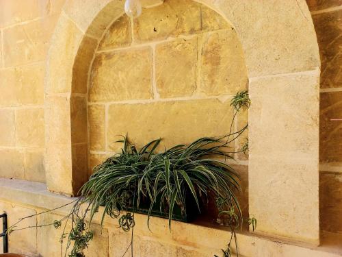 Imagen de la galería de Laremi Gozo B&B, en Nadur
