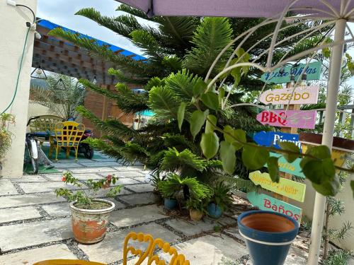 Gallery image of 2 Hermoso y acogedor apart Para descansar con piscina in Pinar Quemado