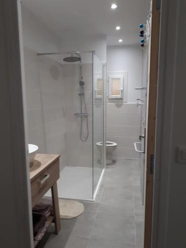 une salle de bain avec une douche en verre et des toilettes dans l'établissement Beau logis indépendant dans mas piscine 4 pers, à Pujaut