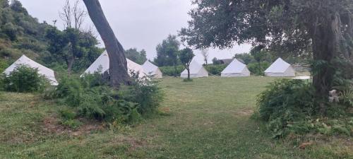Riverside Bunec Camping