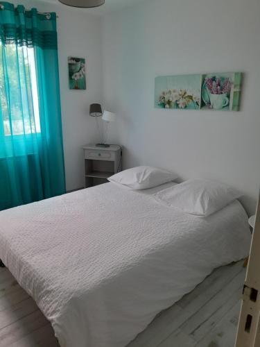 a bedroom with a white bed and blue curtains at Chambre d'hôte bord de Loire in La Bohalle