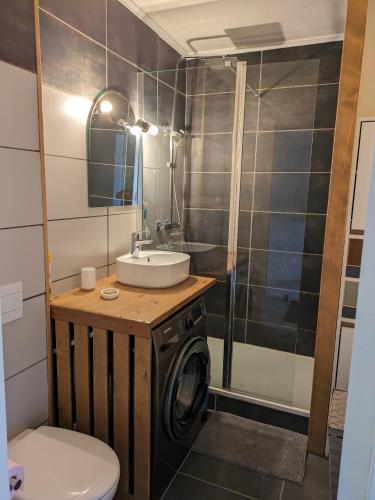 une salle de bain avec une machine à laver et un lavabo dans l'établissement Le DÉLICE DES DUNES, à Seignosse
