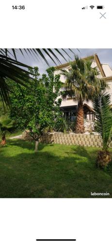 une photo d'une maison avec un palmier dans une cour dans l'établissement 2 Maison 14 couchages 1 maison 5 couchages et 1 maison 9 couchages dans un environnement calme avec piscine privée, à Barbaggio