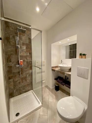 une salle de bain avec une douche, des toilettes et un lavabo dans l'établissement Bastia Duplex quartier citadelle, à Bastia