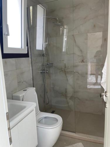 a bathroom with a toilet and a glass shower at Aria's Apartment 2 in Himare