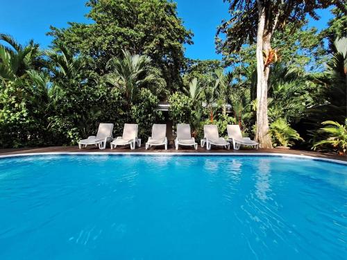 een zwembad met ligstoelen en bomen bij Alloro Jungle Villas in Puerto Viejo