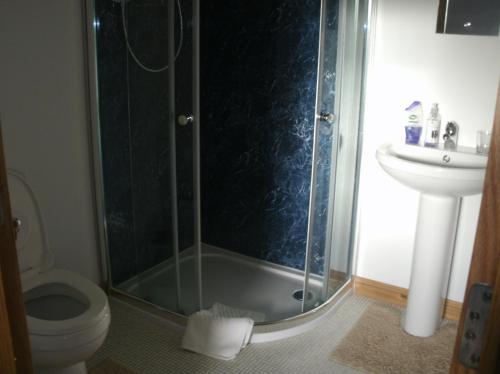 a bathroom with a shower and a toilet and a sink at Benview Bed and Breakfast in Staffin