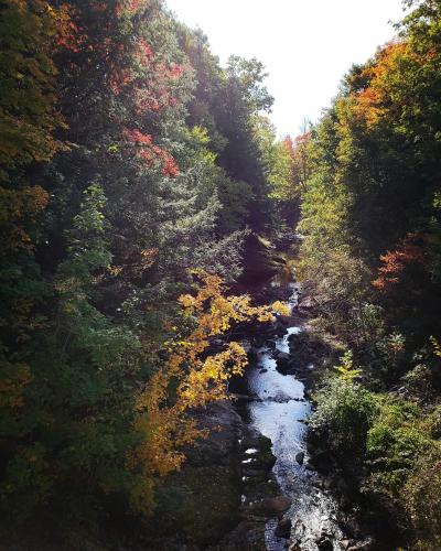 a river in the middle of a bunch of trees at The Inn at Crumpin-Fox in Bernardston