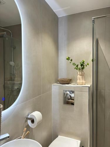 a bathroom with a toilet and a sink and a mirror at Hotel Paris Amore in Paris