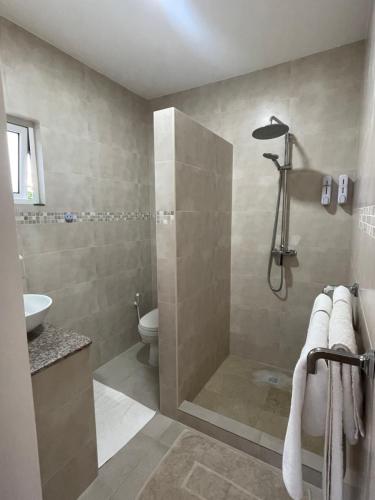 y baño con ducha, aseo y lavamanos. en Tropic Villa Annex en Grand'Anse Praslin