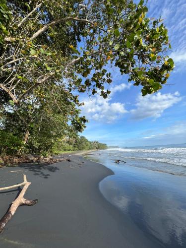 a black beach with trees and the ocean at Namu Garden Hotel & Spa - Adults Only in Puerto Viejo