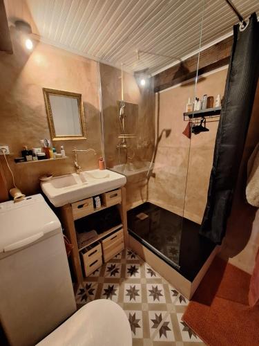 une salle de bain avec toilettes, lavabo et douche dans l'établissement Maison Galiléo, à Ria