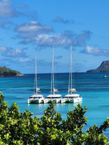 a group of boats sitting in the water at Anse Boudin Chalets in Anse Possession