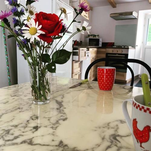 a vase of flowers on a table with a cup at Gîte du Sabotier in Saint-Bonnet-près-Orcival