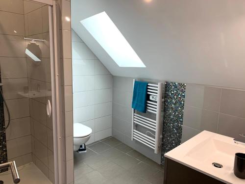 a bathroom with a shower and a toilet and a sink at Gîte du Sabotier in Saint-Bonnet-près-Orcival