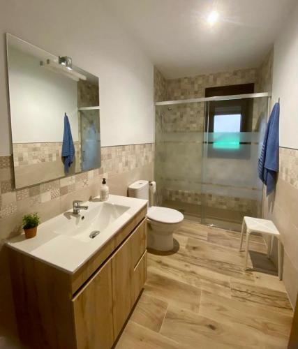 a bathroom with a sink and a toilet at Apartamentos rurales El Hondón del Lugar in Hoyos