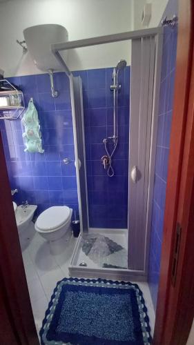 a blue tiled bathroom with a shower and a toilet at Clera in Scalea