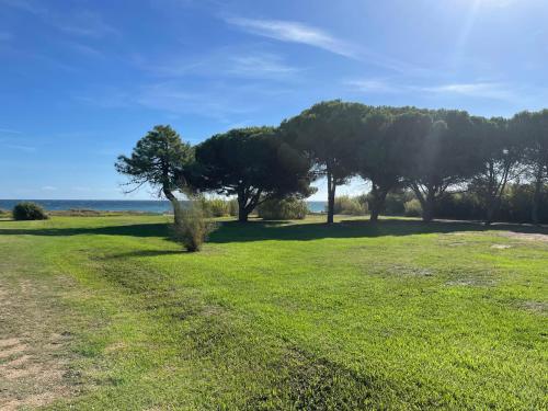 Corsica Poggio