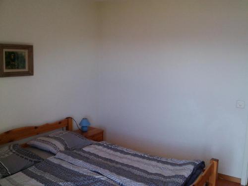 Appartement À La Jorette-Torgon في Torgon: غرفة نوم مع سرير وبطانية زرقاء