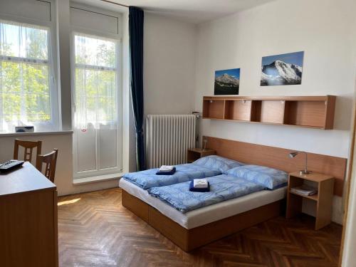 a bedroom with a bed in a room with windows at Penzion Villa Gerlach in Smokovce