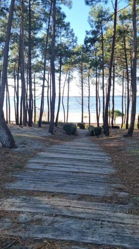un chemin en bois menant à une plage arborée dans l'établissement Bel Appartement au calme avec Rez-de-jardin, à Biscarrosse