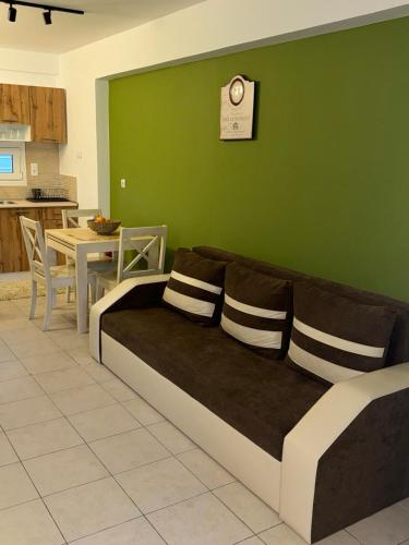 a couch in a room with a green wall at Ifigeleni studios in Ária